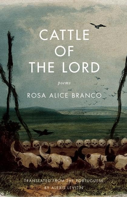 Cattle of the Lord Social Sciences