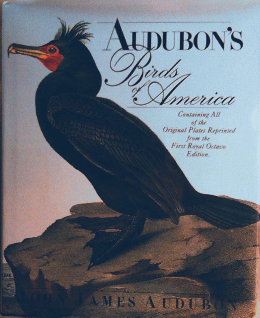 Audubon's Birds of America: The Royal Octavo Edition book