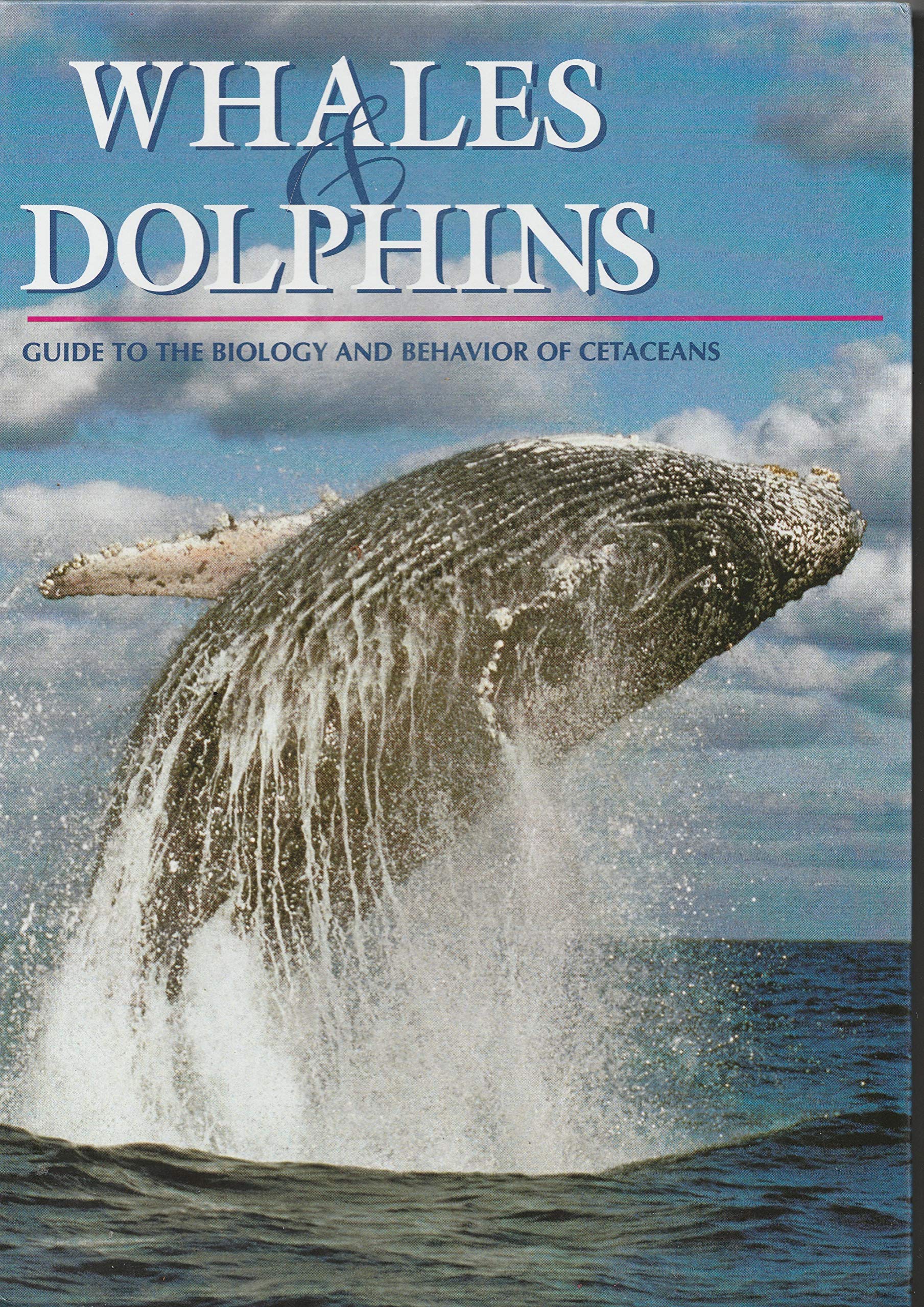 Whales and Dolphins: A Guide to the Biology and Behavior of Cetaceans Mathematics
