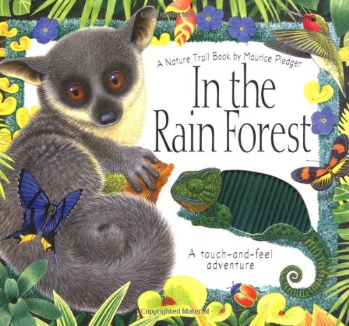 In the Rain Forest: A Nature Trail Book (Nature Trail Books) Non-fiction