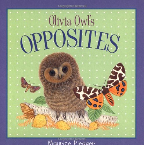Product Image: Olivia Owl's Opposites