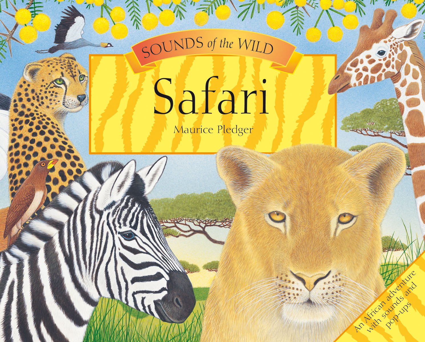 Safari (Sounds of the Wild) Non-fiction