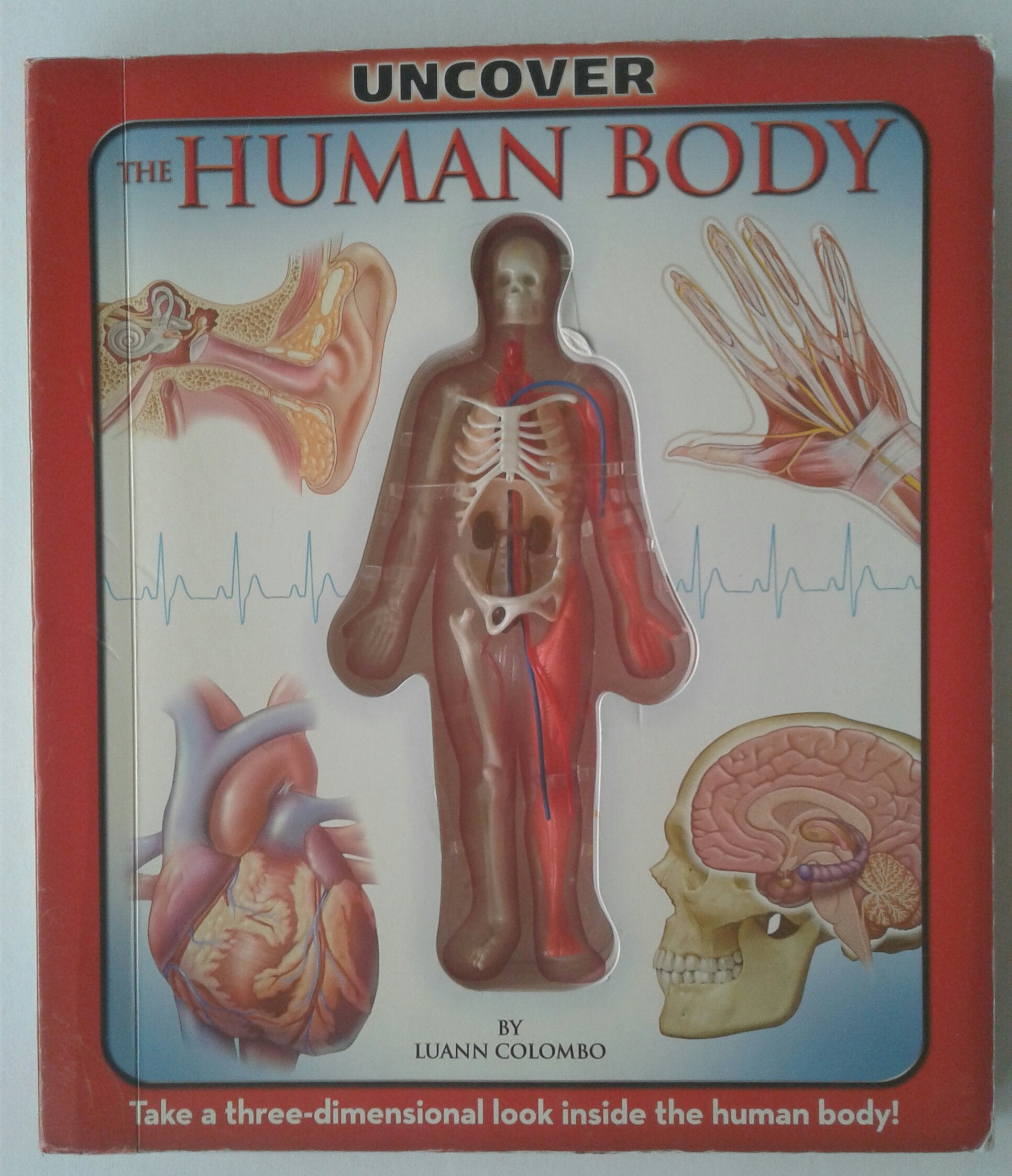 Uncover the Human Body: Take a Three-Dimensional Look Inside the Human Body! (Uncover Books) Tiptoi & Games