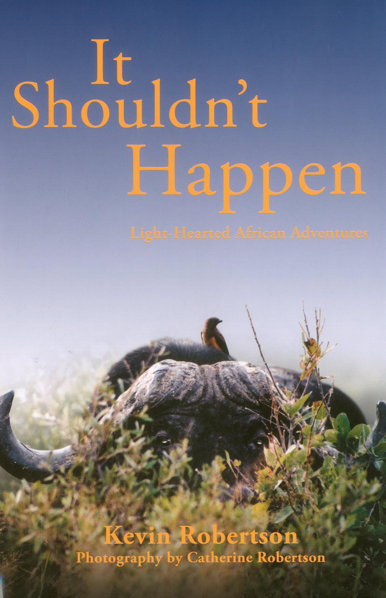 It Shouldn't Happen: Light-hearted African Adventures Leisure & Fun