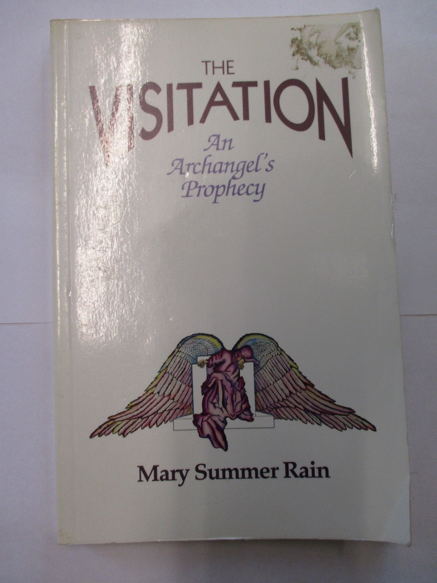 The Visitation, the: An Archangels Prophecy book