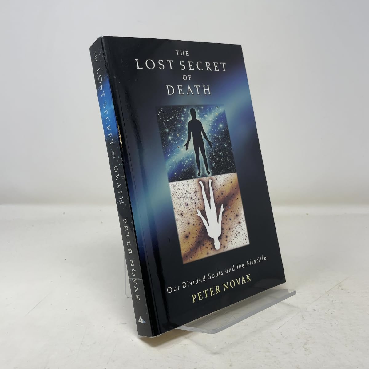 The Lost Secret of Death: Our Divided Souls and the Afterlife book
