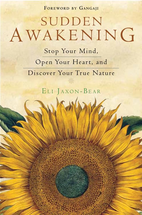 Sudden Awakening: Stop Your Mind, Open Your Heart, and Discover Your True Nature Lifestyle