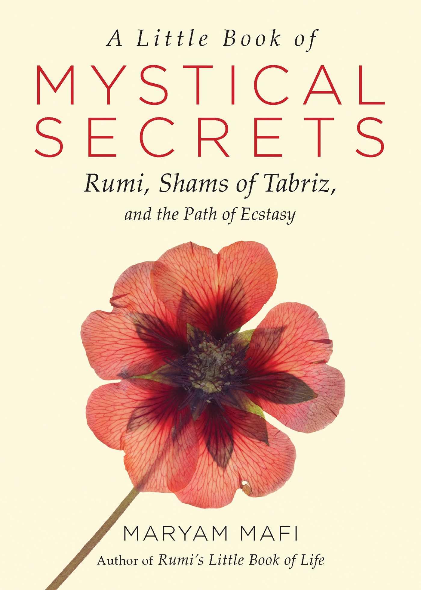 A Little Book of Mystical Secrets Social Sciences