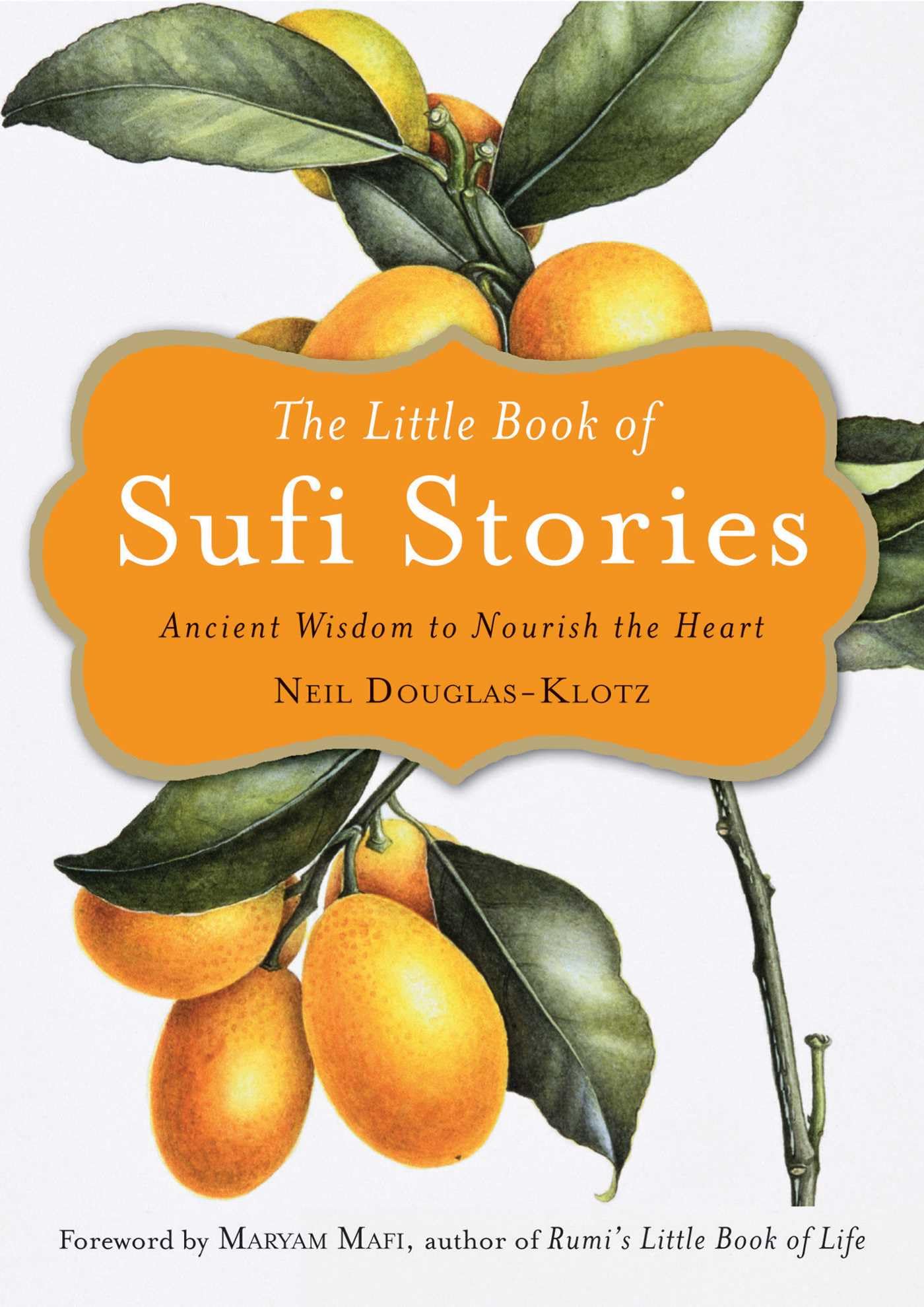 The Little Book of Sufi Stories Social Sciences