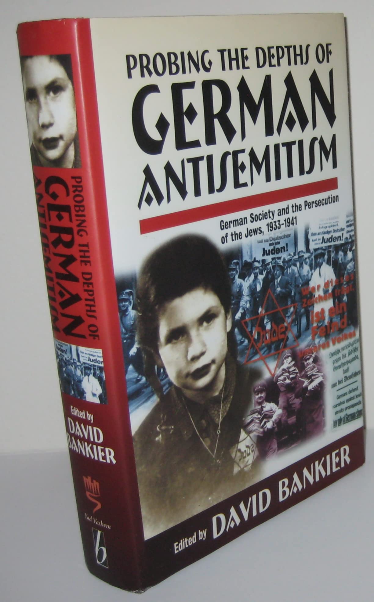 Probing the Depths of German Antisemitism: German Society and the Persecution of the Jews, 1933-1941 book
