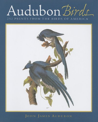 Audubon Birds: 252 Prints from the Birds of America Mathematics