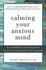 Calming Your Anxious Mind: How Mindfulness and Compassion Can Free You from Anxiety, Fear, and Panic: How Mindfulness and Compassion Can Free You of Anxiety, Fear and Panic Medicine