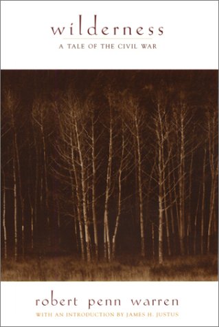 Wilderness: A Tale of the Civil War book