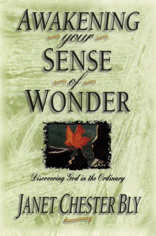 Awakening Your Sense of Wonder: Discovering God Through the Ordinary Religion & Esotericism