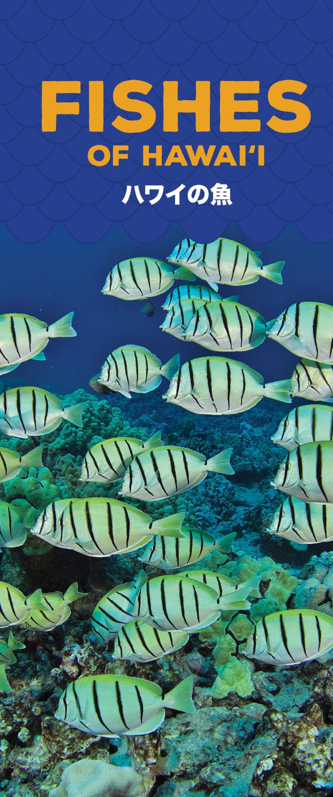 Fishes Of Hawaii (Hawaii Pocket Guides) Mathematics