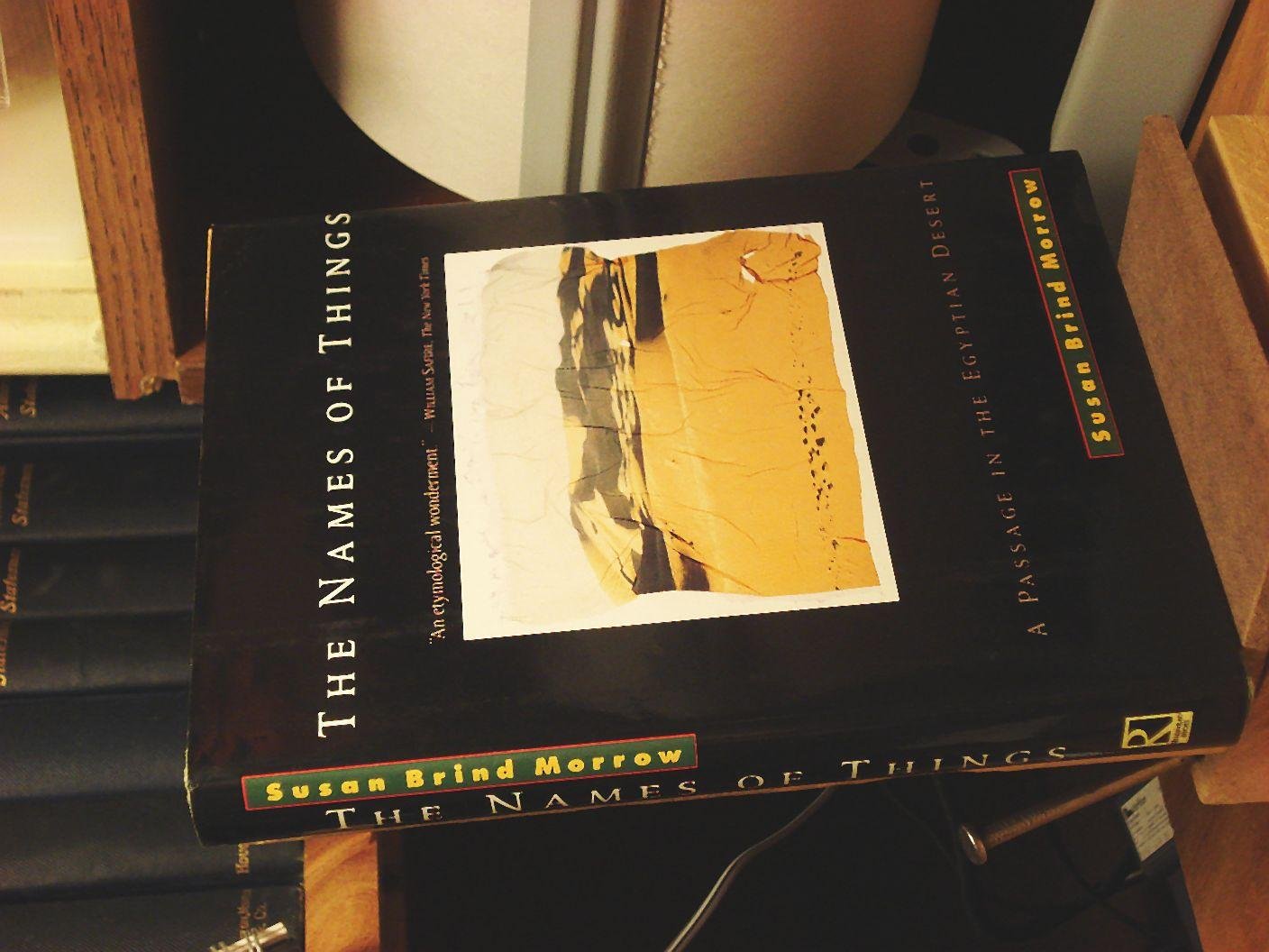 The Names of Things: A Passage in the Egyptian Desert: Life, Languages and Beginnings in the Egyptian Desert General education