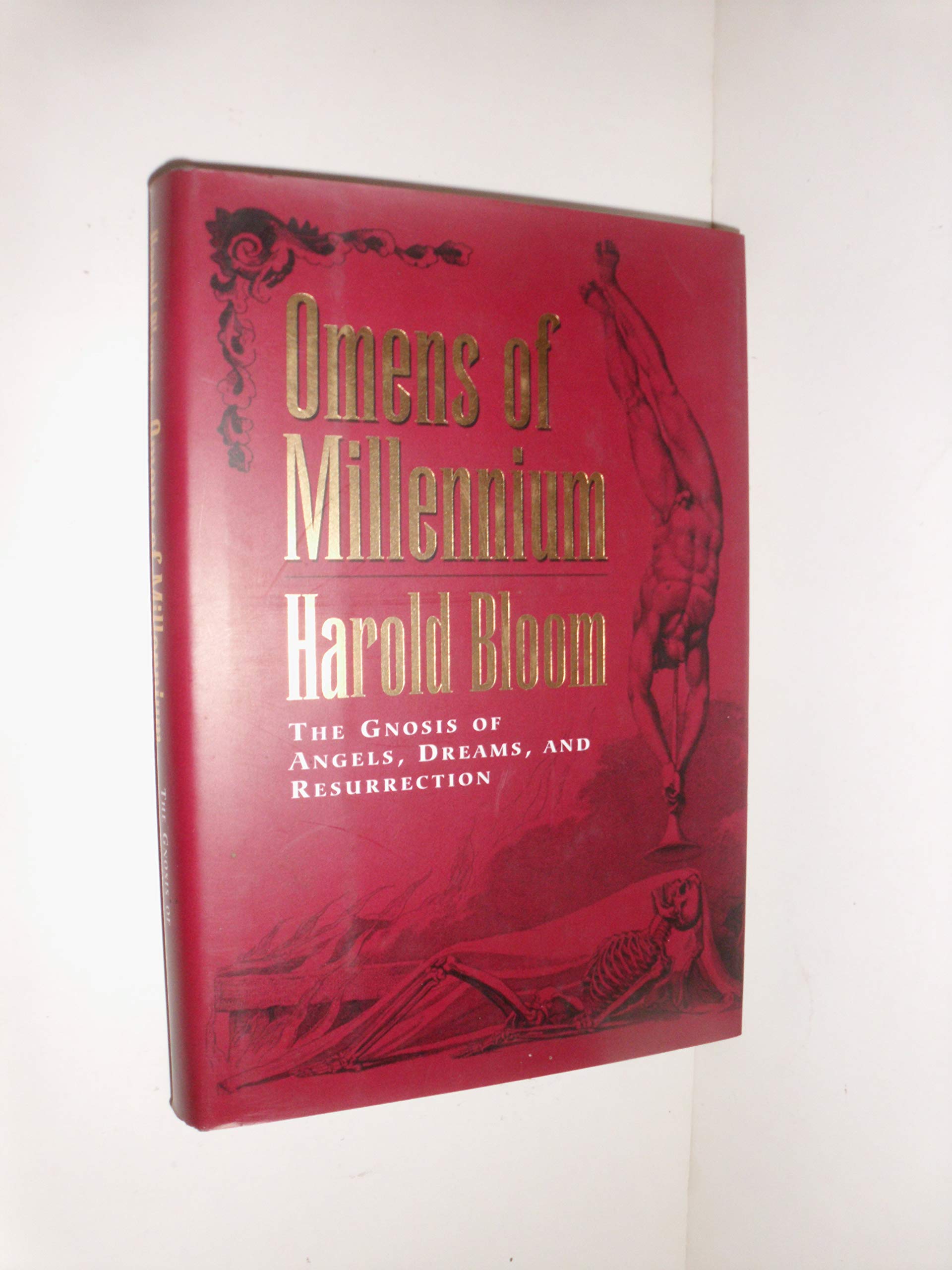 Omens of Millennium: The Gnosis of Angels, Dreams, and Resurrection Religion & Esotericism