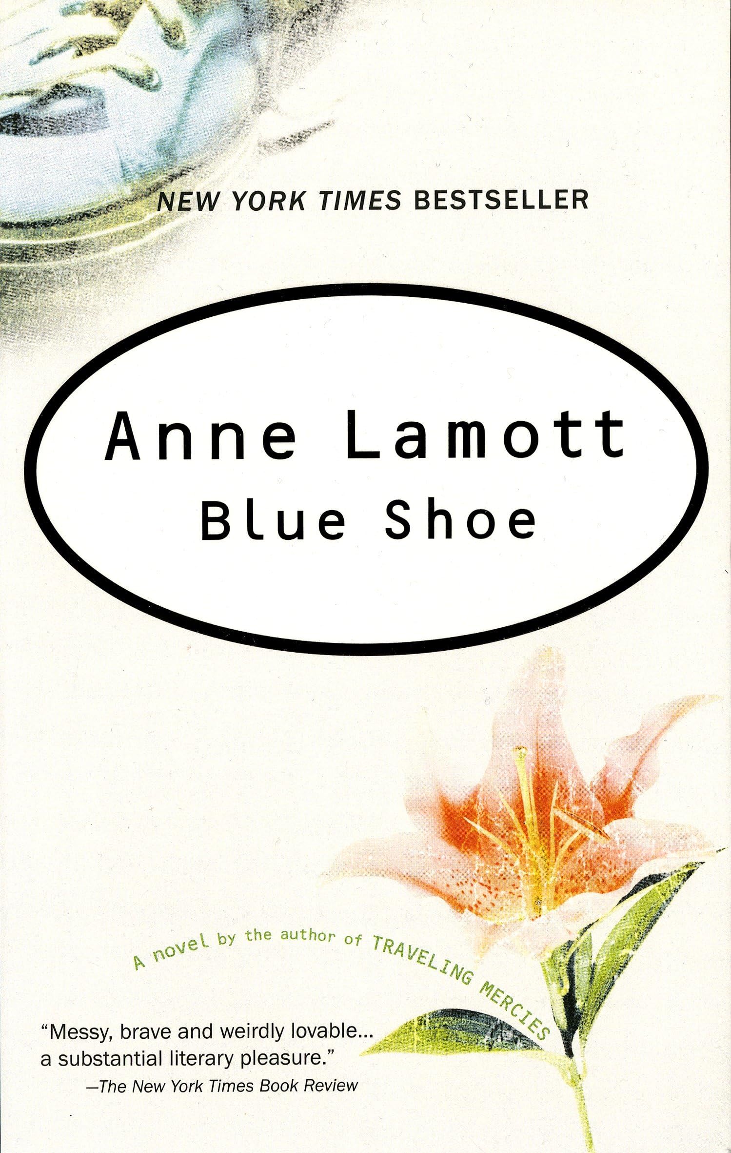 Blue Shoe Contemporary literature Books