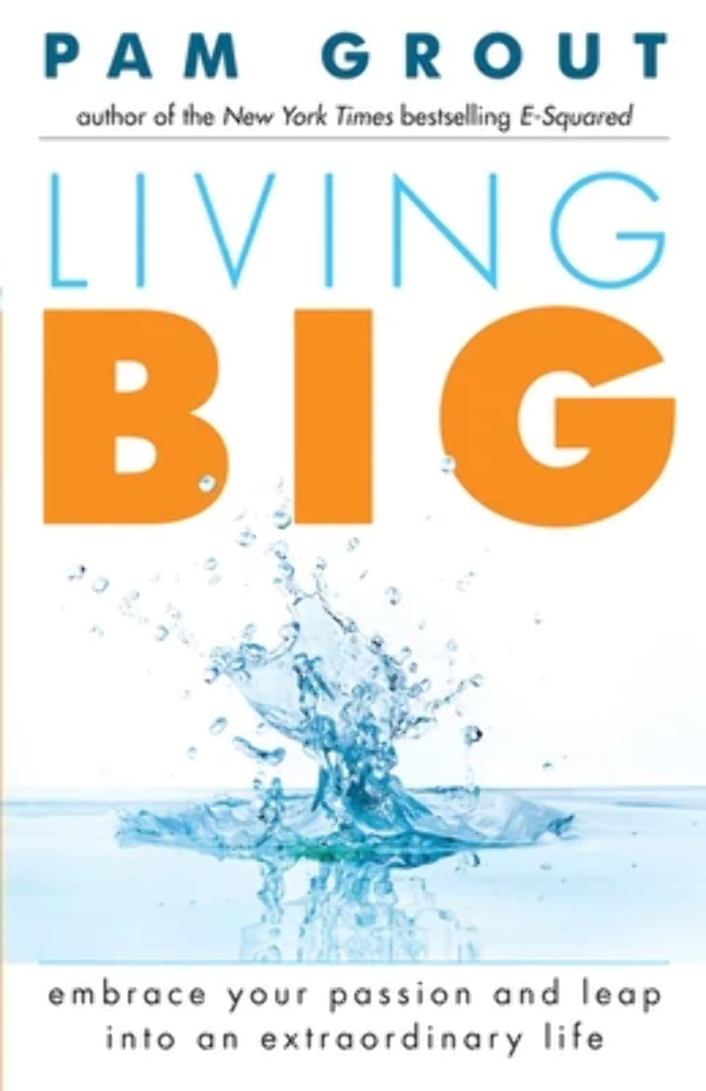 Living Big: Embrace Your Passion and Leap Into an Extraordinary Life (For Readers of The Course in Miracles Experiment and Thank & Grow Rich) Business, Finance & Career