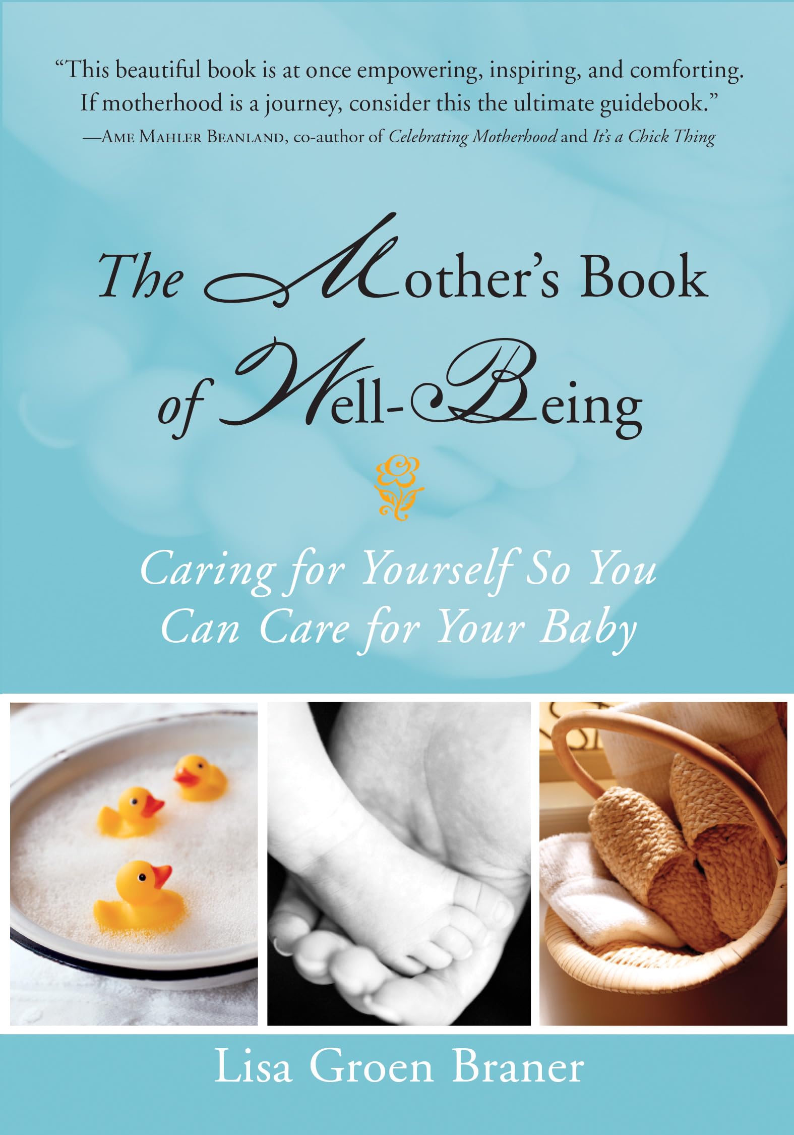 The Mother's Book of Well-Being Business, Finance & Career