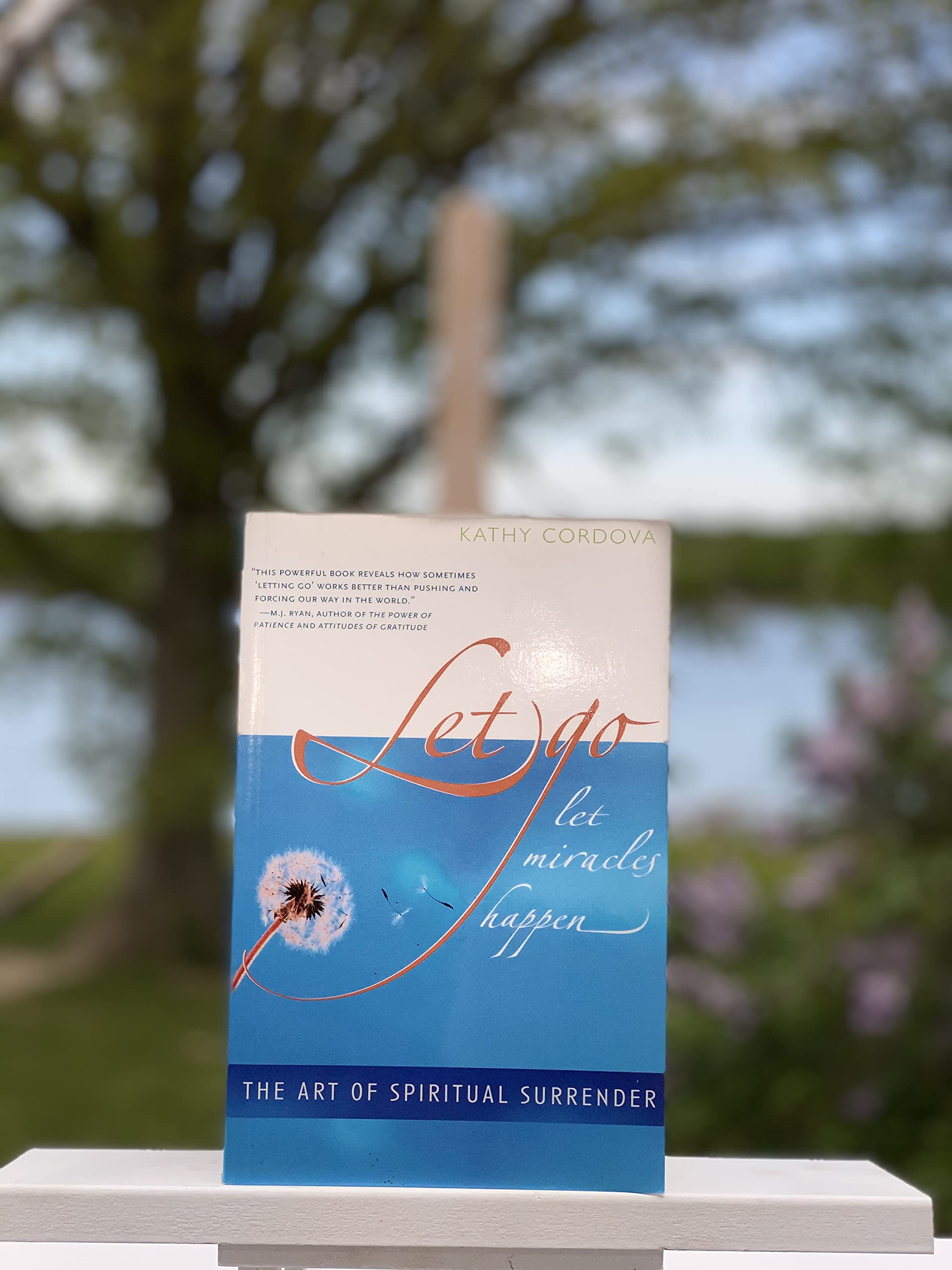 Let Go, Let Miracles Happen: The Art of Spiritual Surrender Self-help