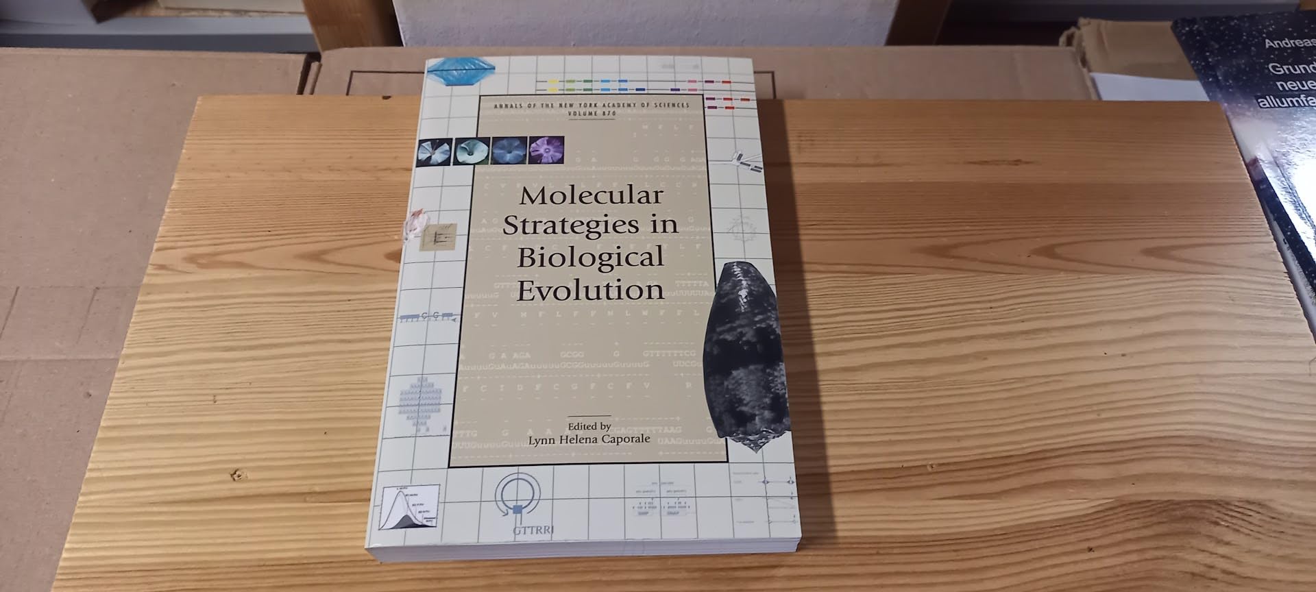 Molecular Strategies in Biological Evolution (Annals of the New York Academy of Sciences, Band 870) Medicine