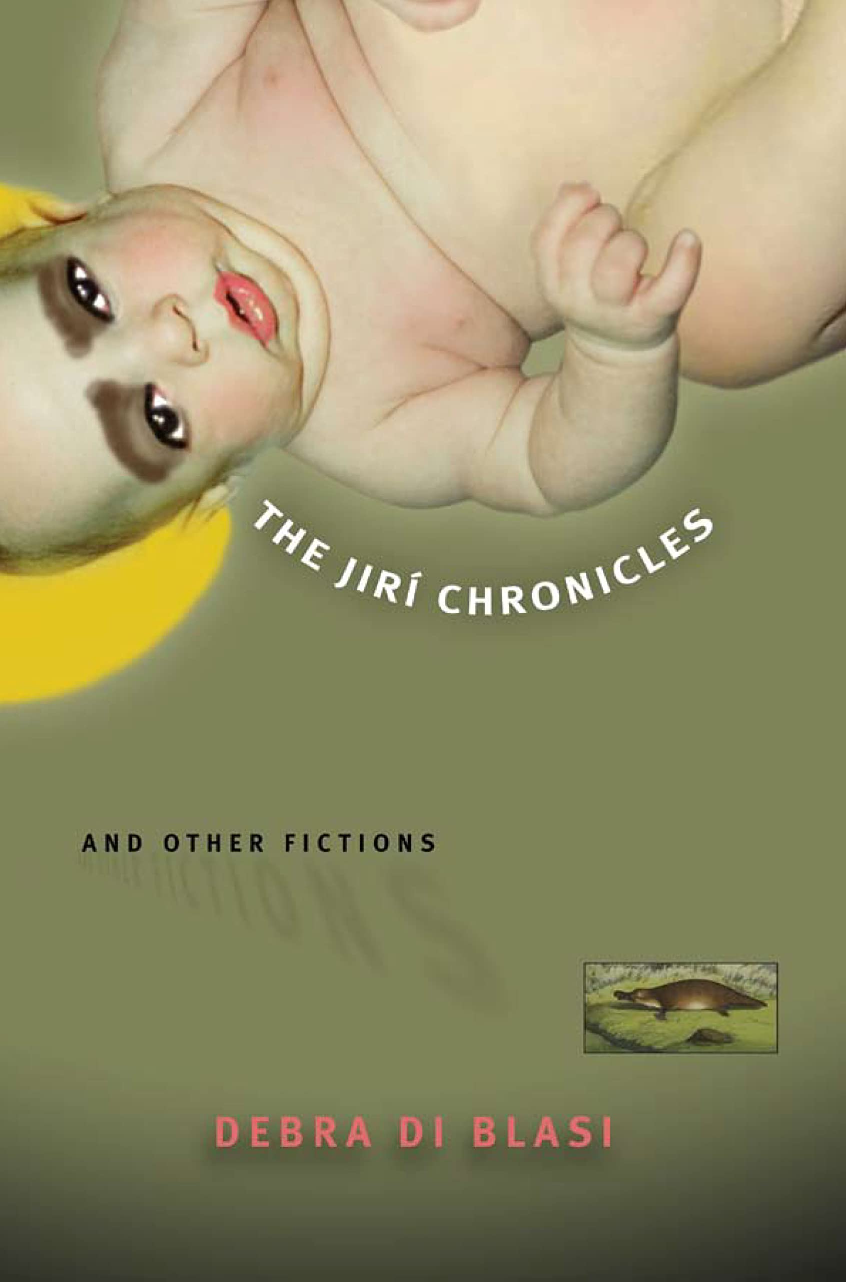 The Jiri Chronicles & Other Fictions Contemporary literature