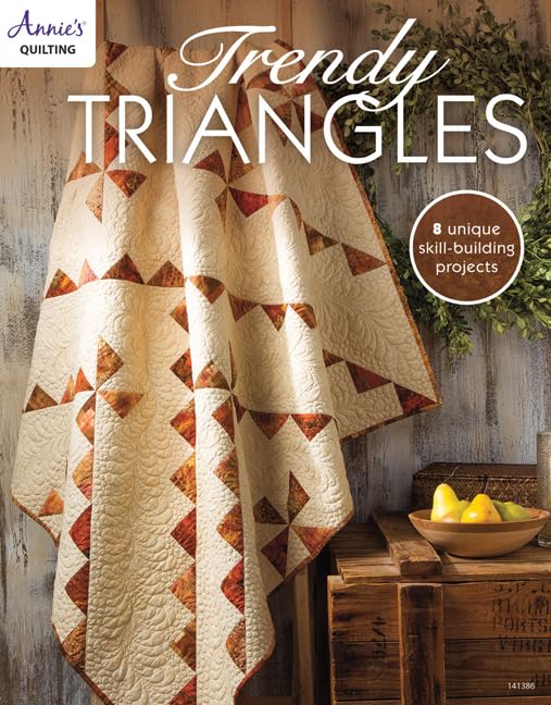 Trendy Triangles: 8 Skill Building Unique Projects Hobbies & Crafts