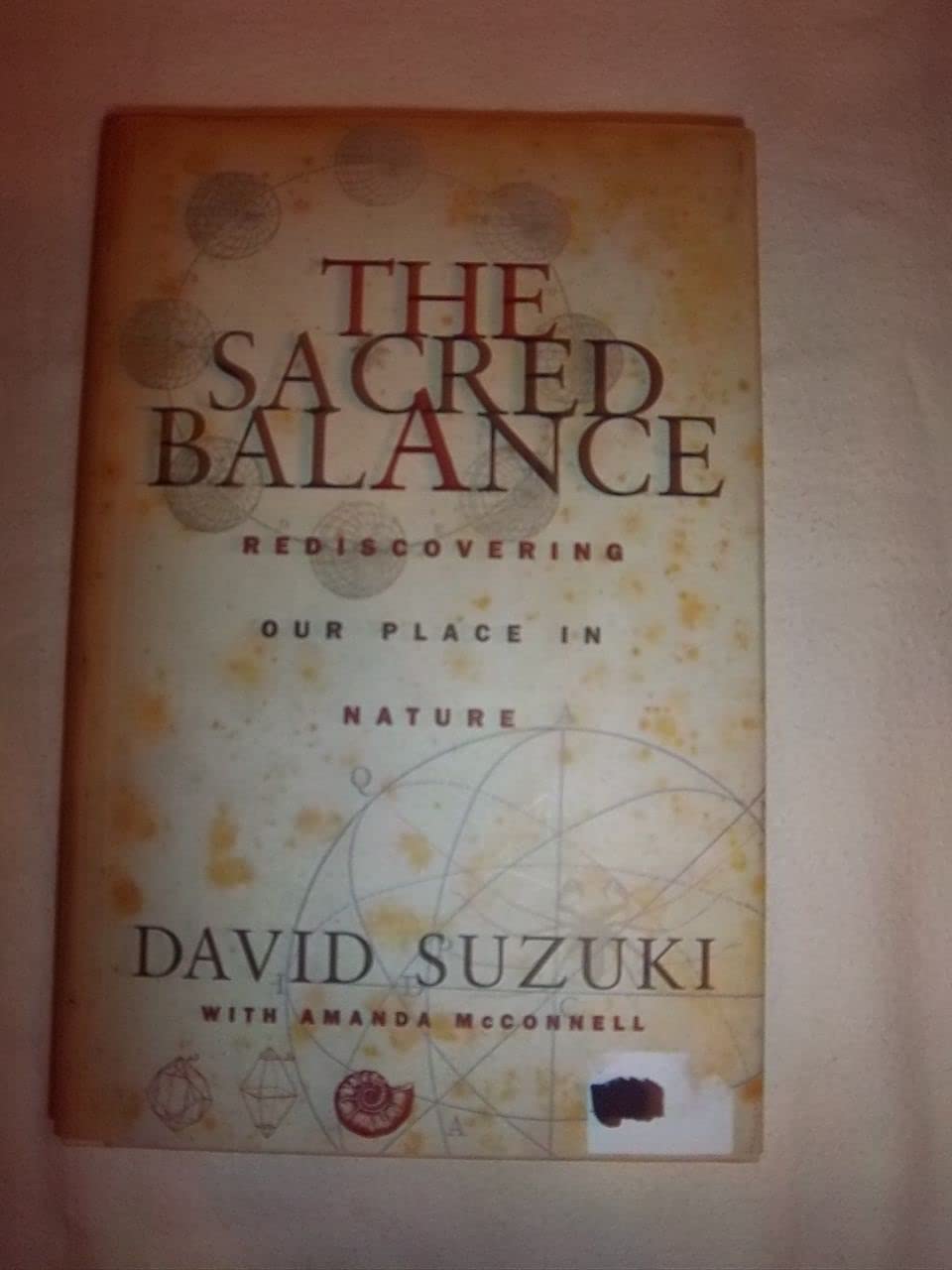 The Sacred Balance: Rediscovering Our Place in Nature Philosophy