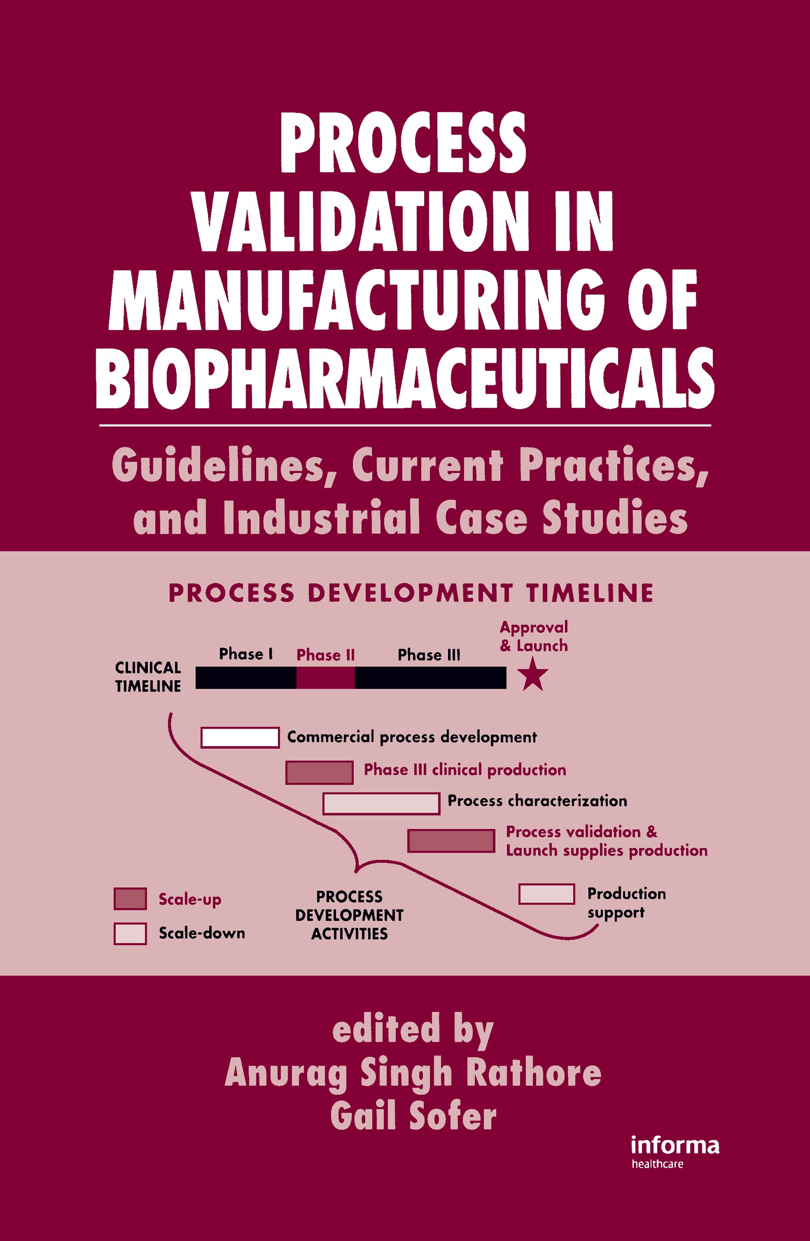 Process Validation in Manufacturing of Biopharmaceuticals: Guidelines, Current Practices, and Industrial Case Studies (Biotechnology and Bioprocessing, Band 29) Medicine