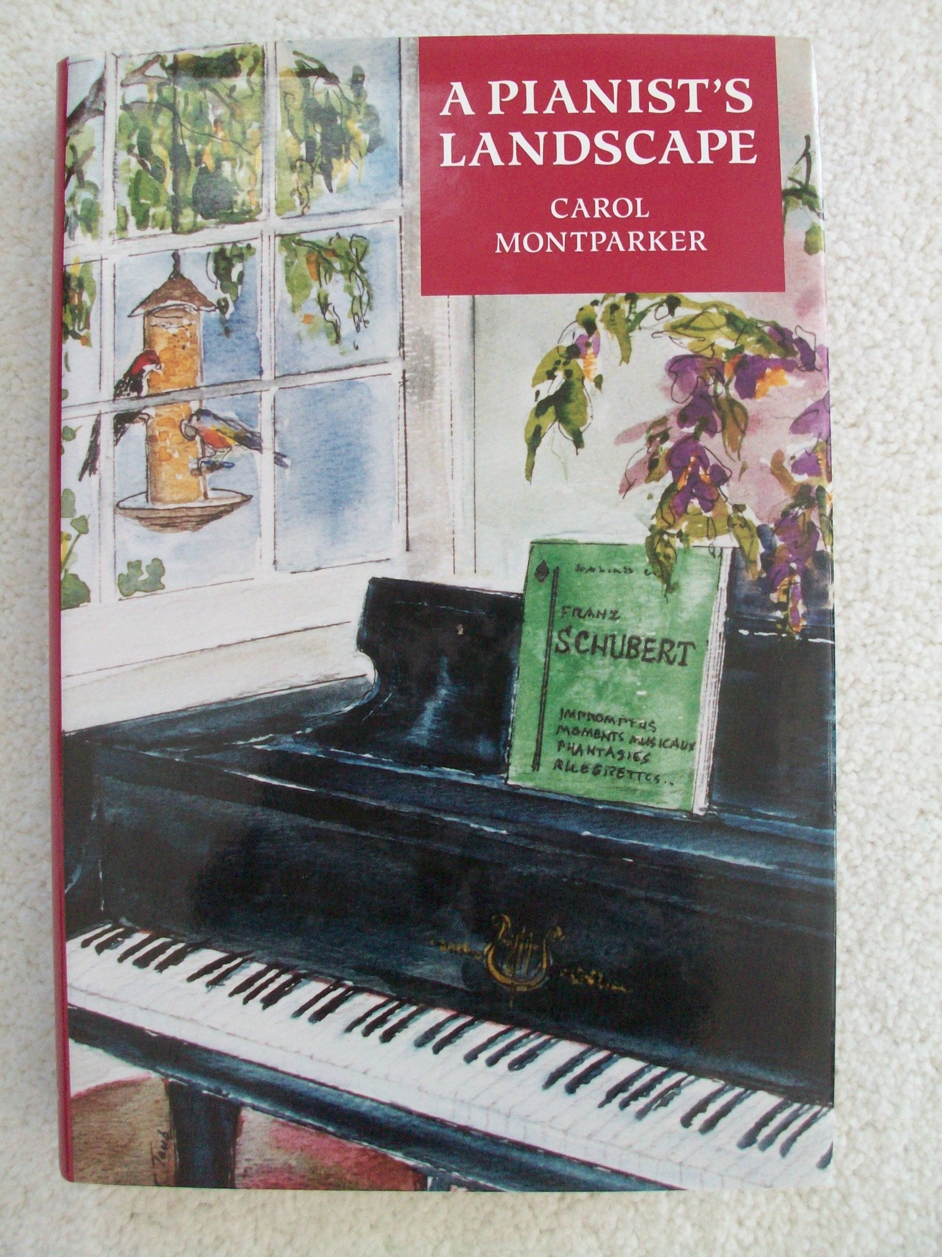 A Pianist's Landscape (Amadeus) Pop culture