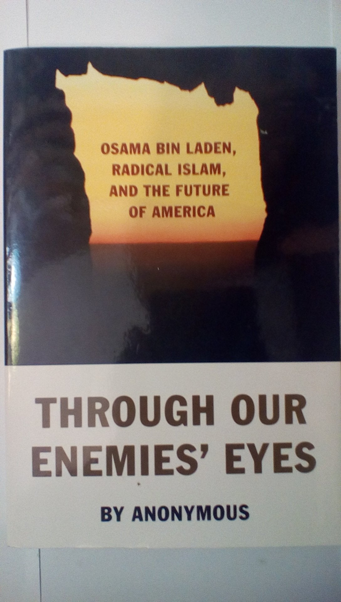 Through Our Enemies' Eyes: Osama Bin Laden, Radical Islam, and the Future of America Religion & Esotericism