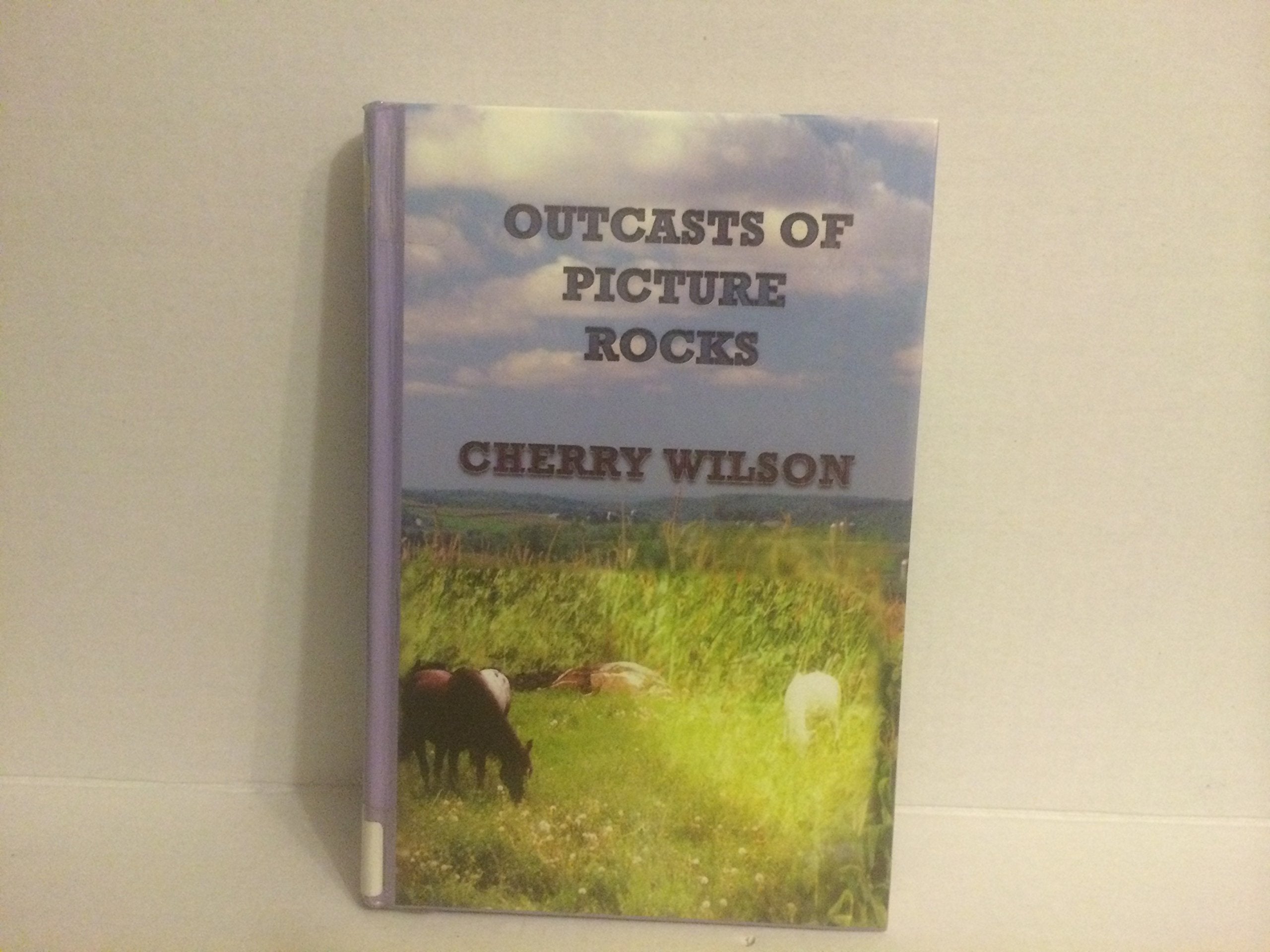 Outcasts of Picture Rock (Sagebrush Large Print Western Series) Contemporary literature