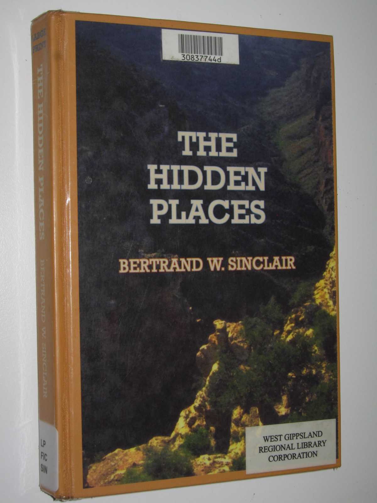 The Hidden Places (Sagebrush Large Print Western Series) Contemporary literature