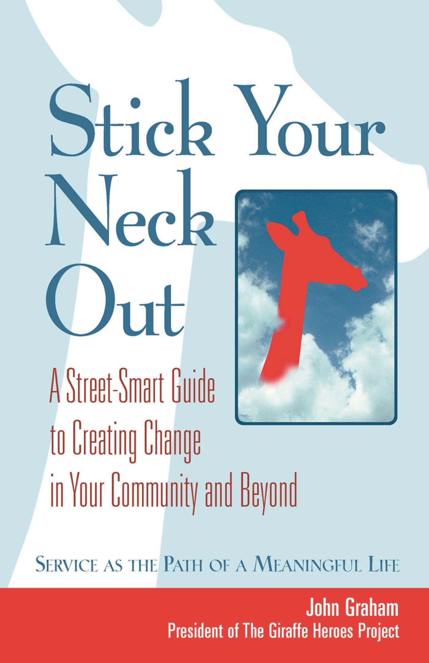 Stick Your Neck Out: A Street-Smart Guide to Creating Change in Your Community and Beyond Social Sciences