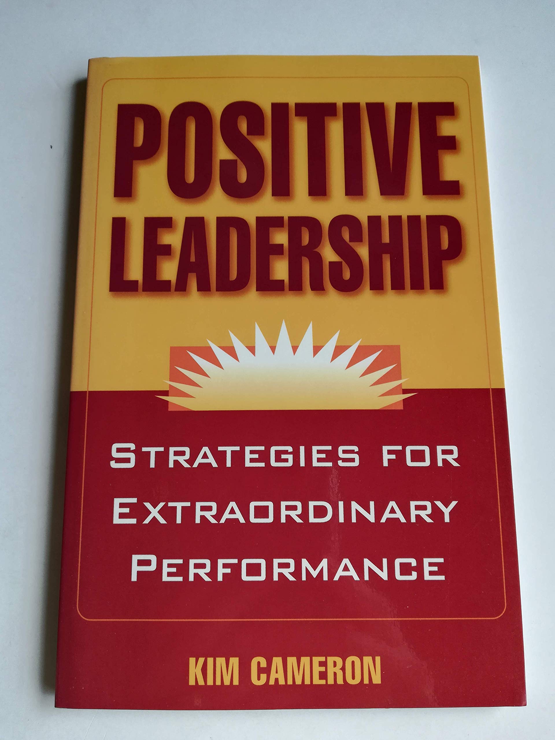 Positive Leadership: Strategies for Extraordinary Performance Business, Finance & Career