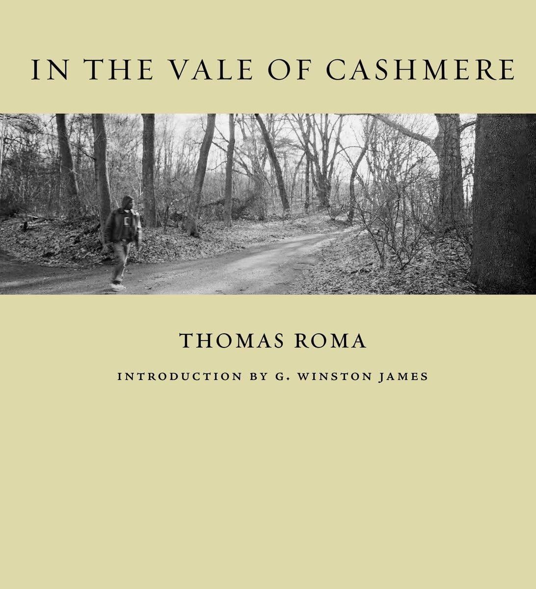 In the Vale of Cashmere Travel