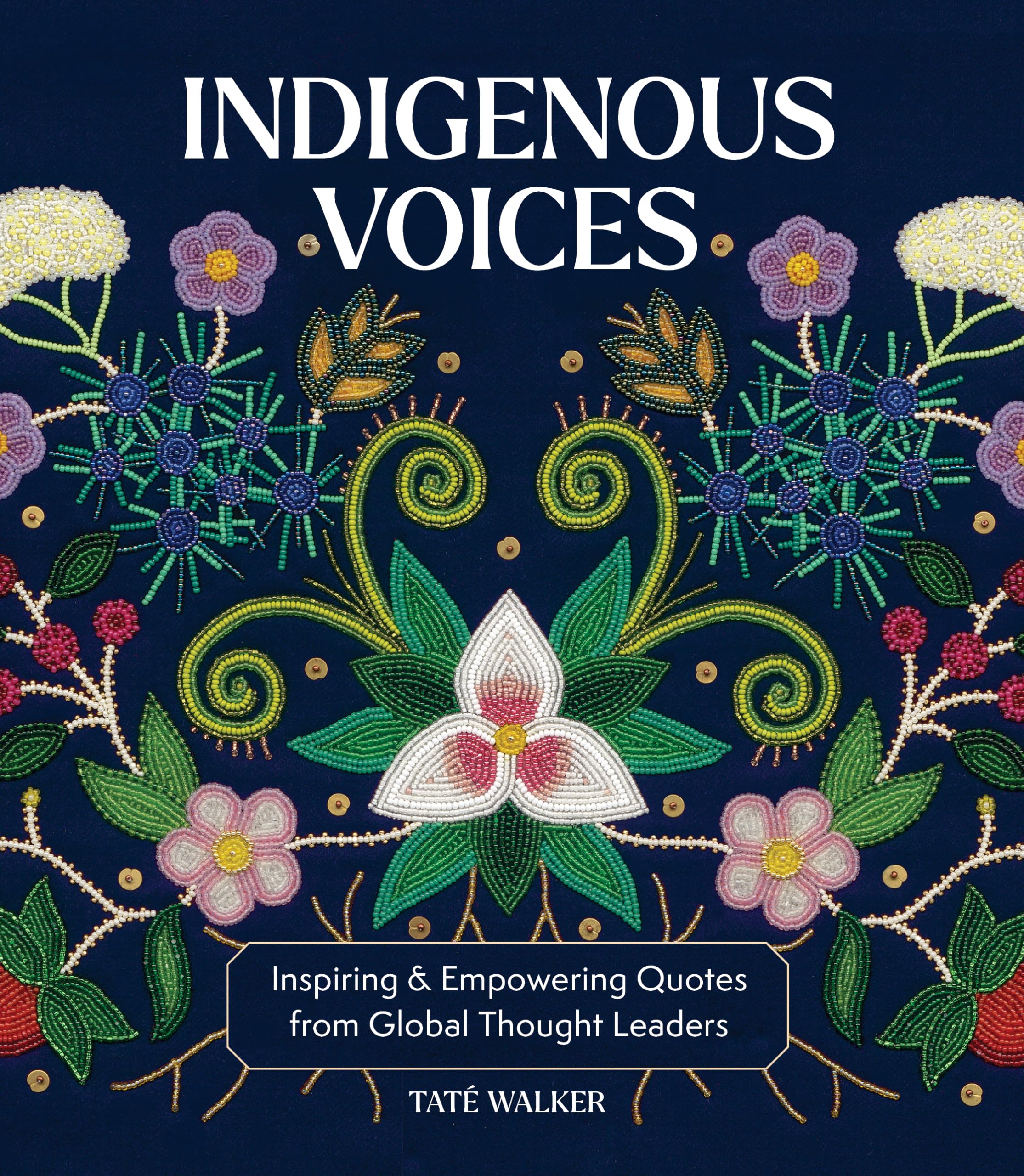 Indigenous Voices: Inspiring & Empowering Quotes from Global Thought Leaders Books