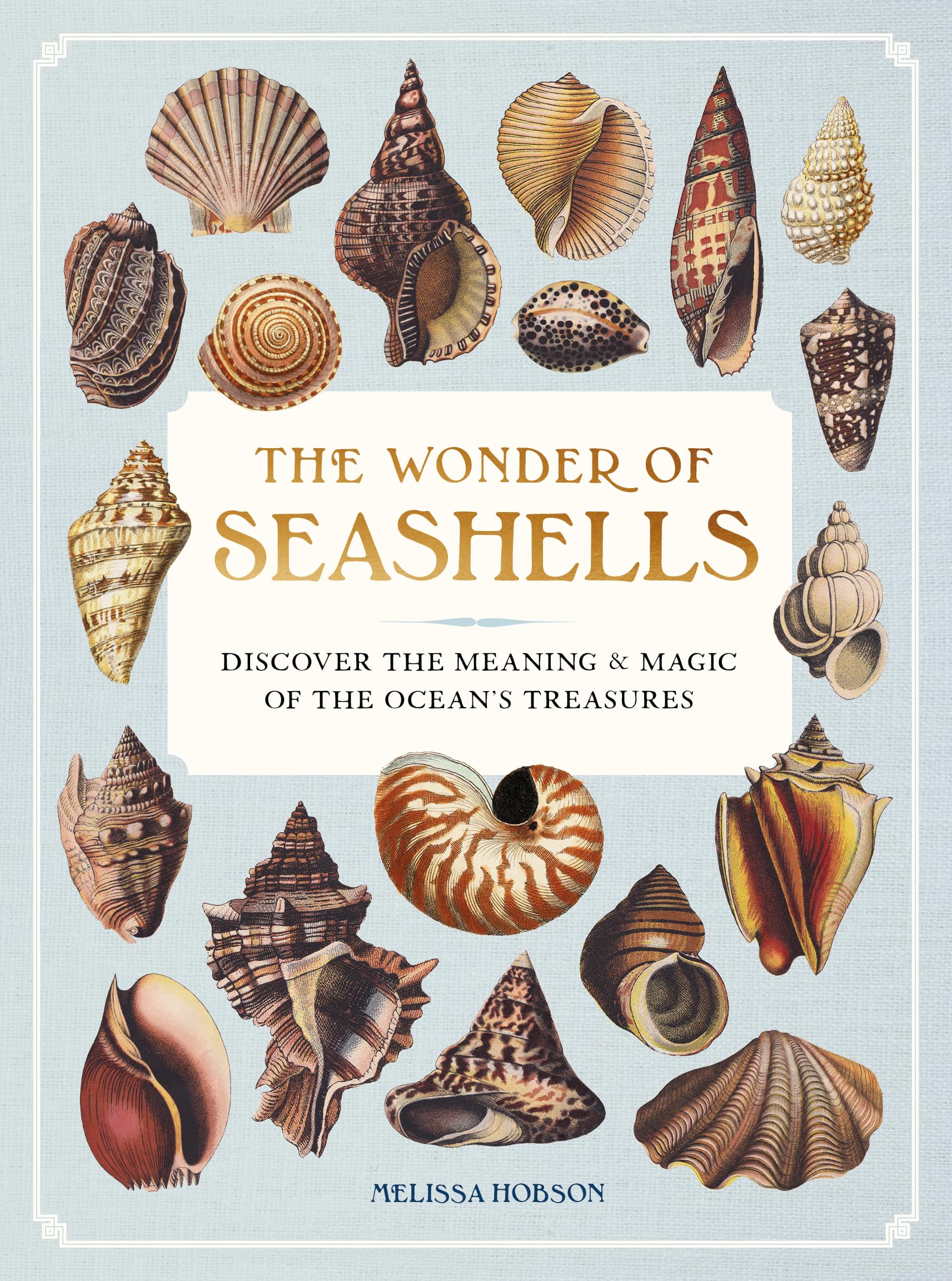 The Wonder of Seashells: Discover the Meaning & Magic of the Ocean’s Treasures Geology & Geography
