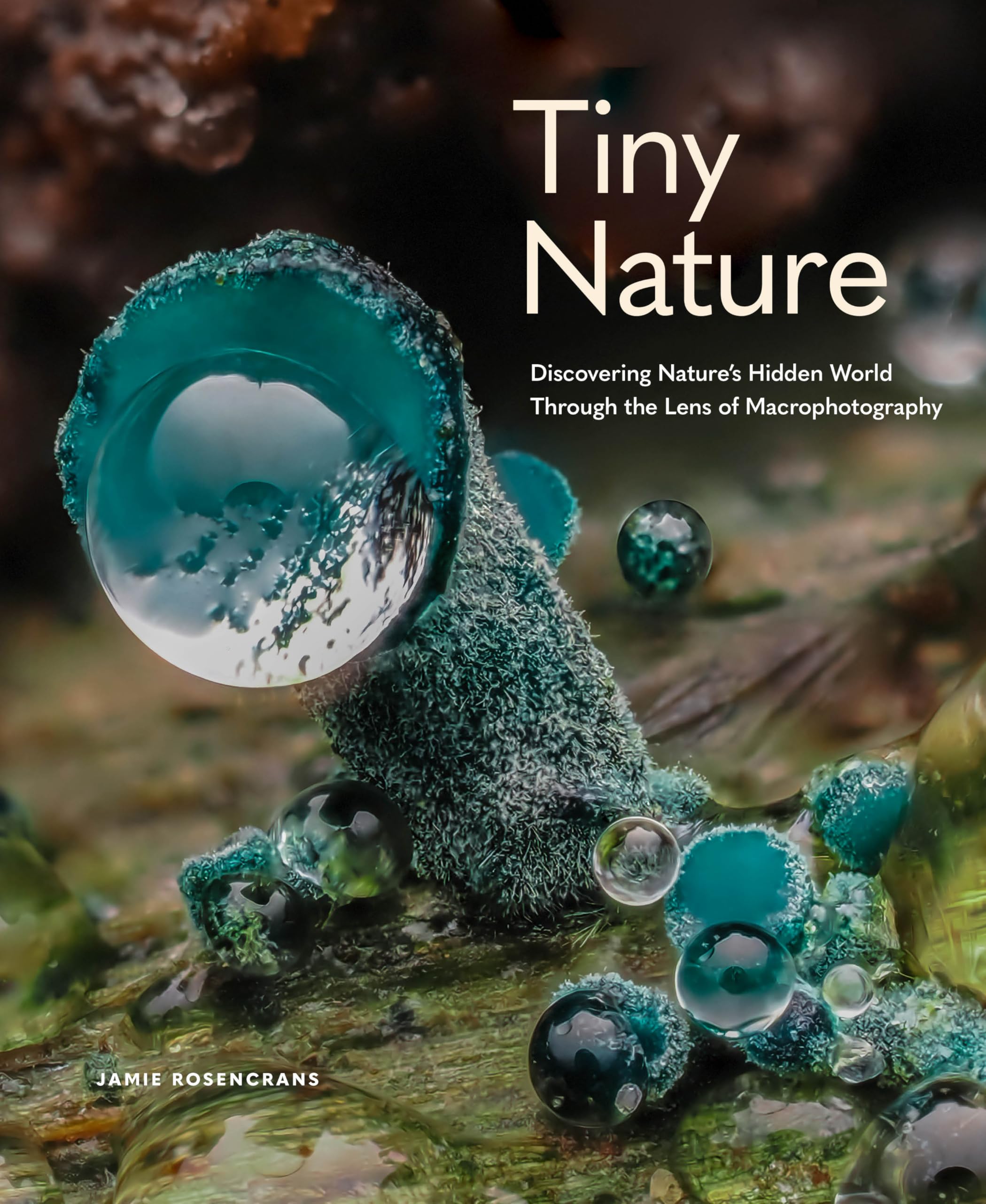 Tiny Nature Geology & Geography
