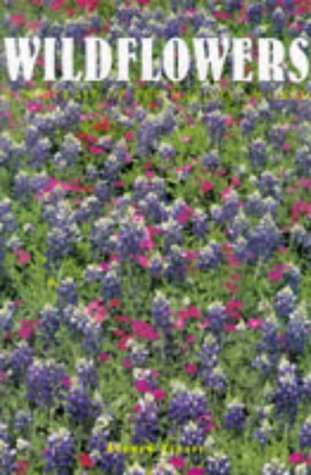 Wildflowers: A Portrait of the Natural World Mathematics