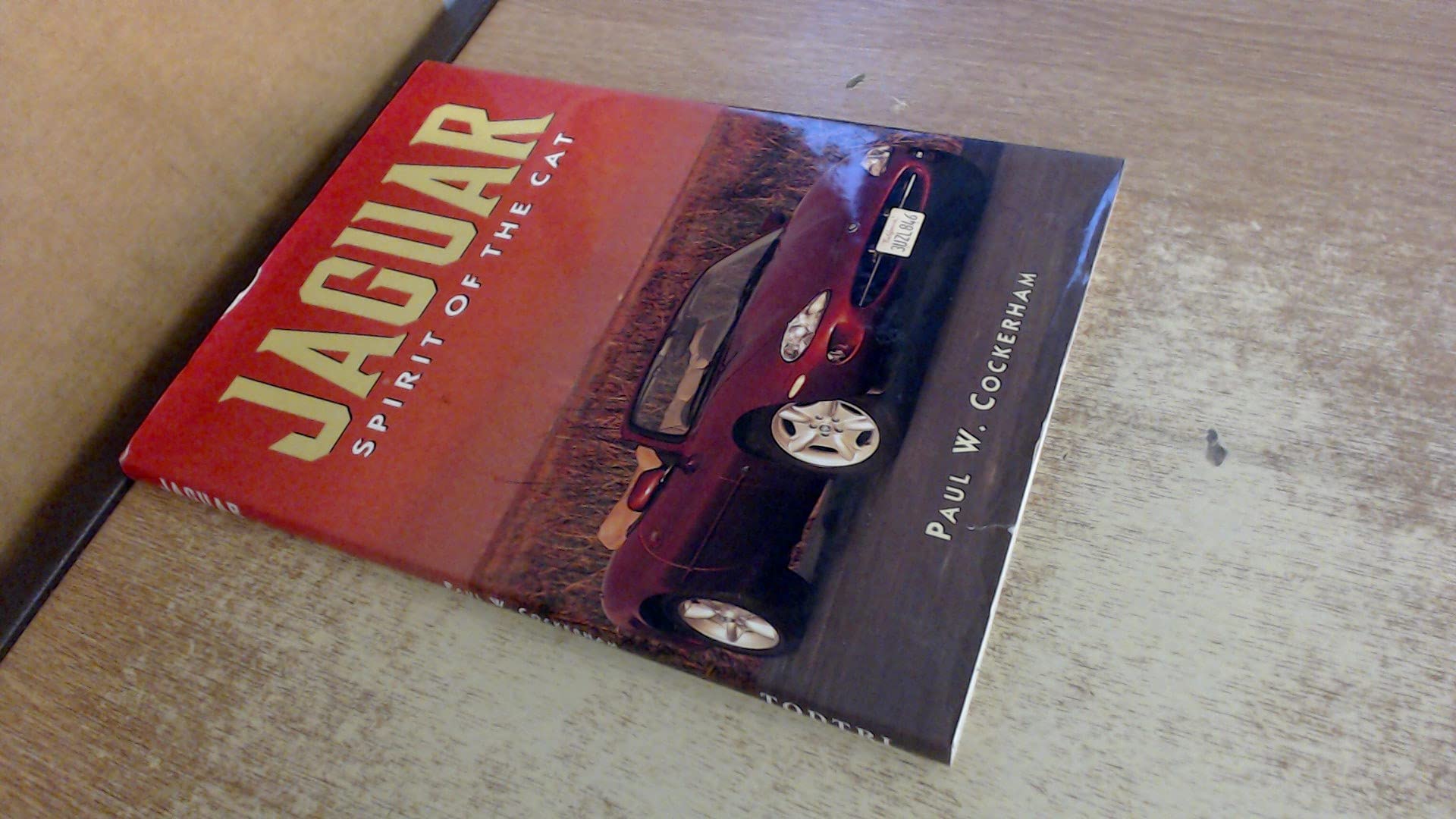 Jaguar: Spirit of the Cat Arts & Culture