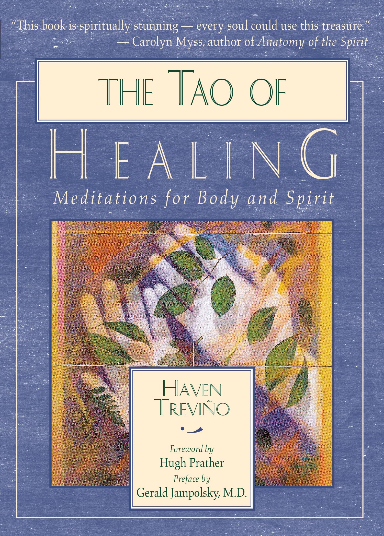Tao of Healing: Meditations for Body and Spirit Social Sciences