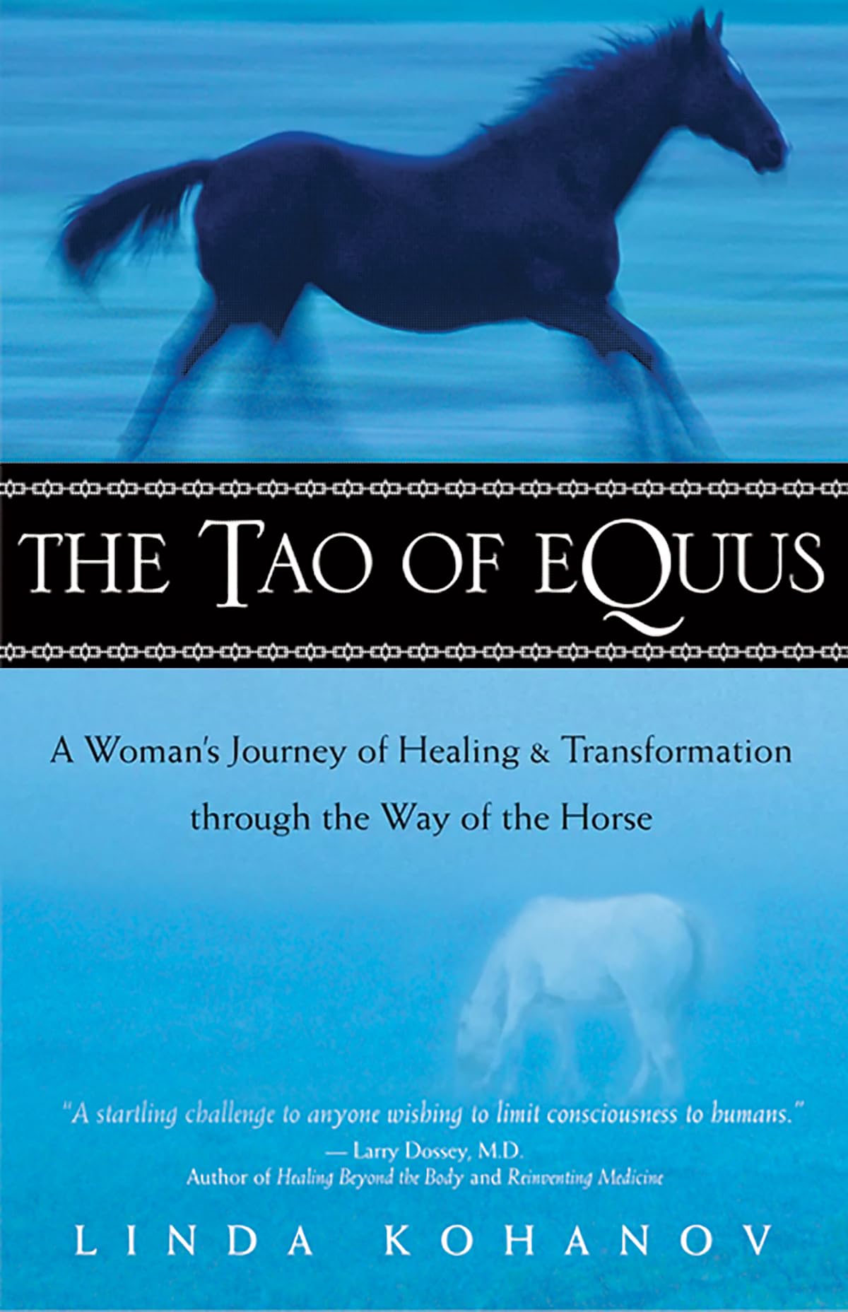 The Tao of Equus: A Woman's Journey of Healing and Transformation Through the Way of the Horse Pets