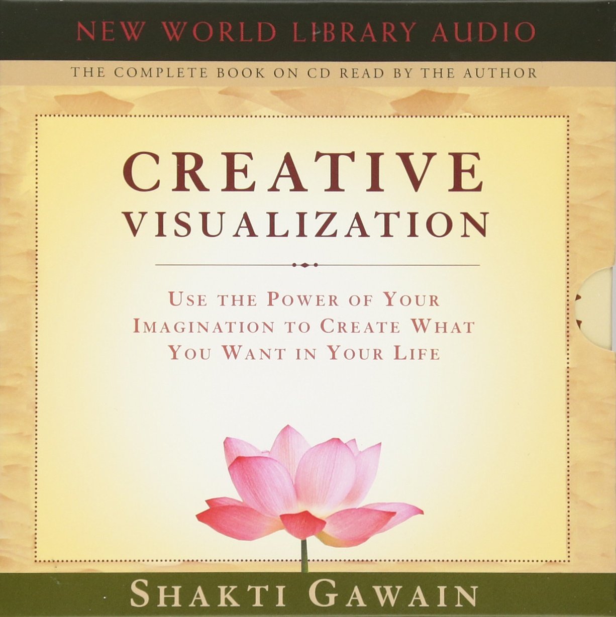 Creative Visualization: Use the Power of Your Imagination to Create What You Want in Your Life Lifestyle