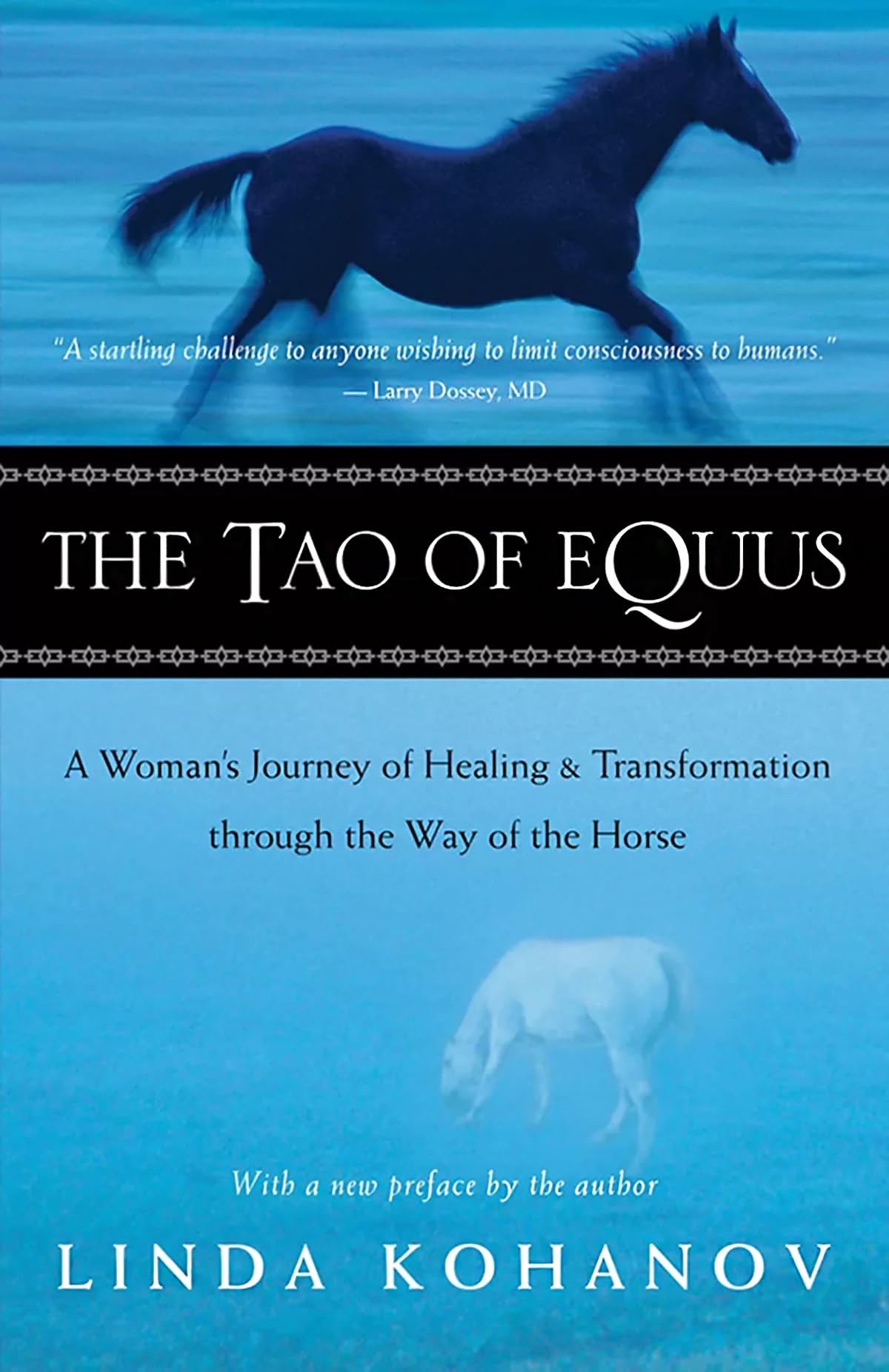 The Tao of Equus Pets