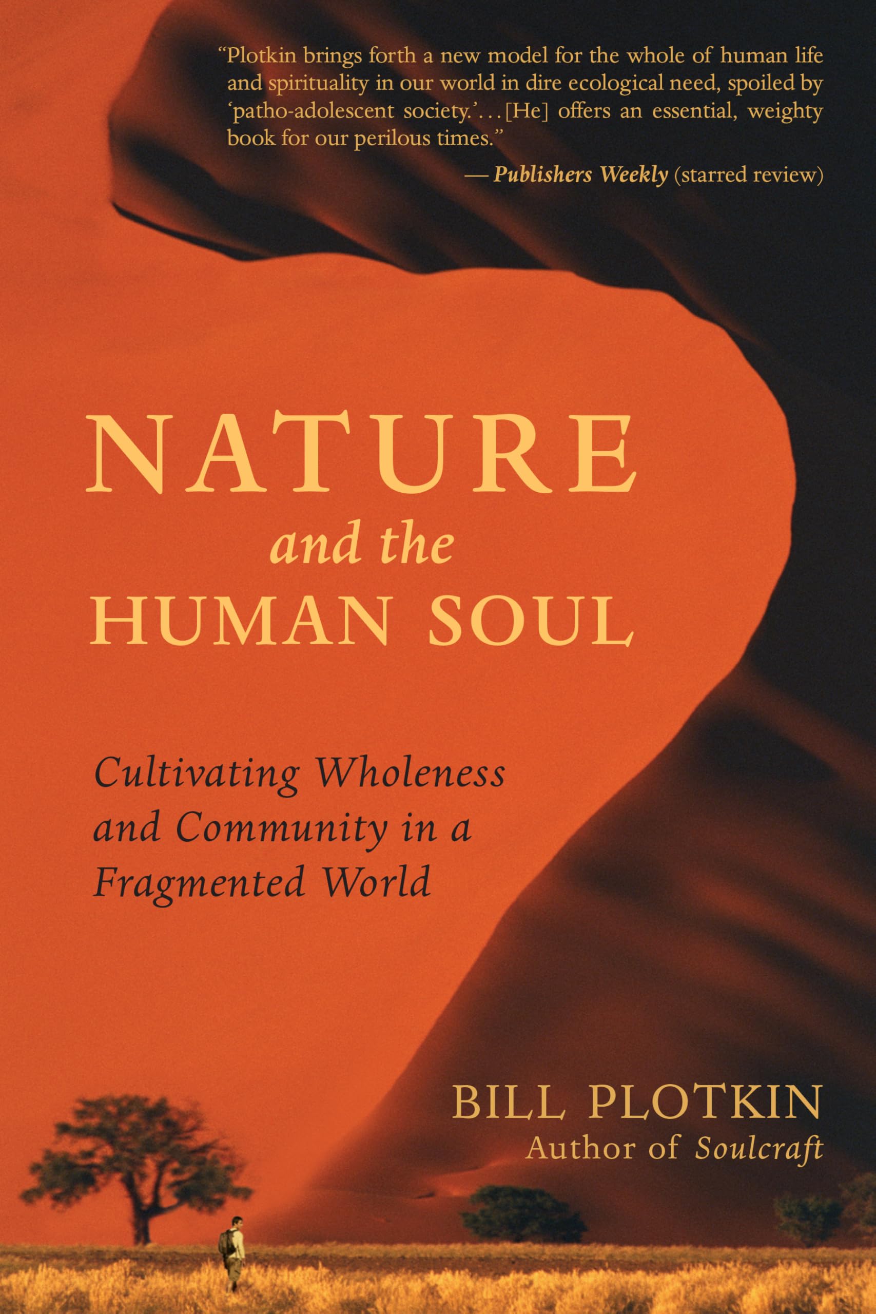 Nature and the Human Soul: Cultivating Wholeness and Community in a Fragmented World Mathematics