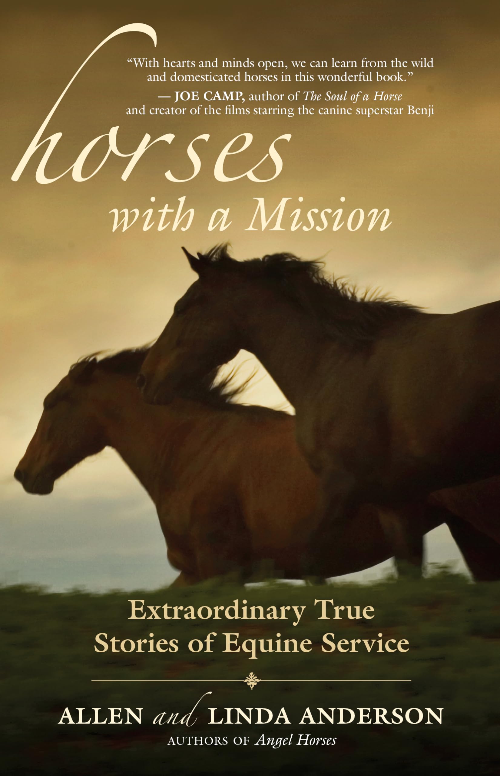 Horses with a Mission: Extraordinary True Stories of Equine Service Memories