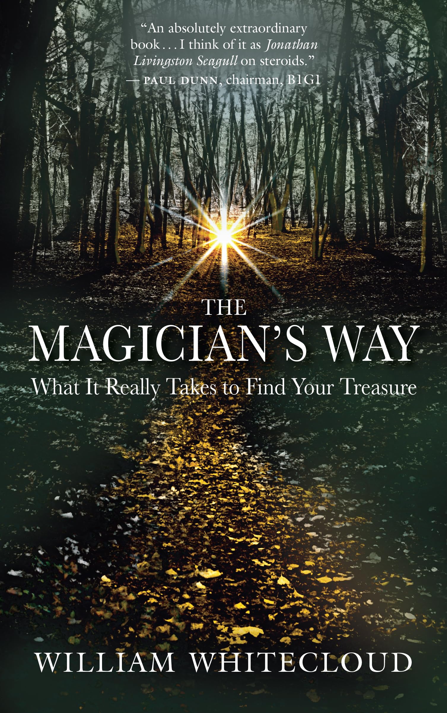 Magician's Way: What It Really Takes to Find Your Treasure Business, Finance & Career