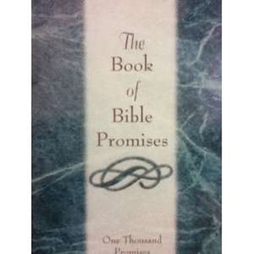 The Book Of Bible Promises Books